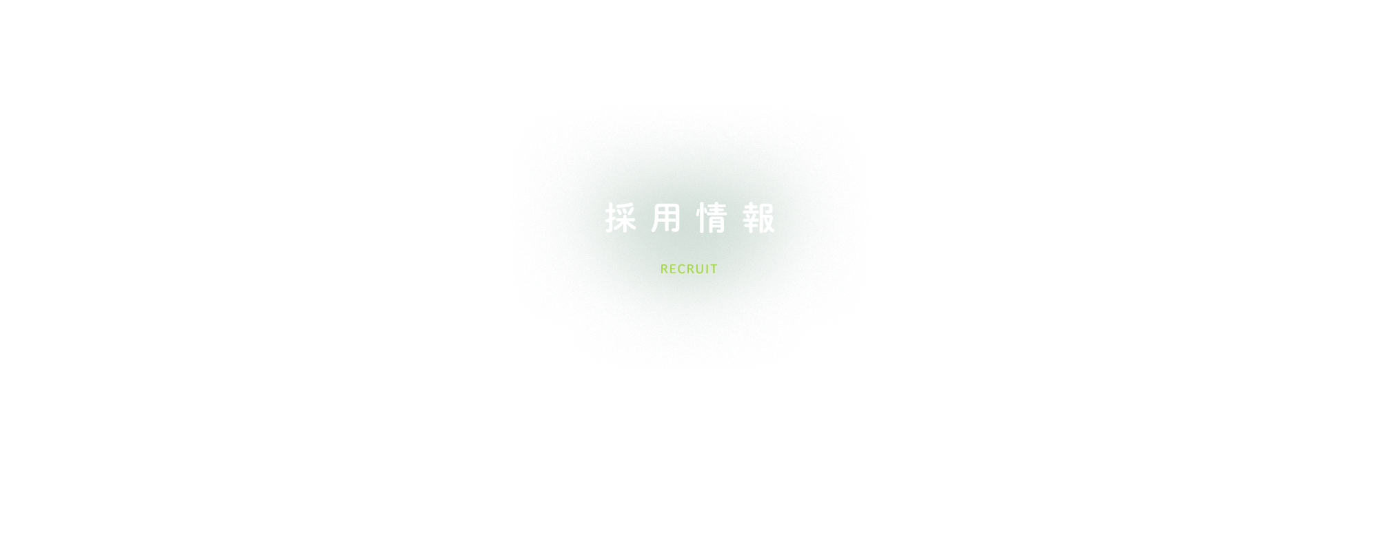 採用情報